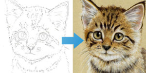 Learn How To Draw a Kitten - Free Online Course